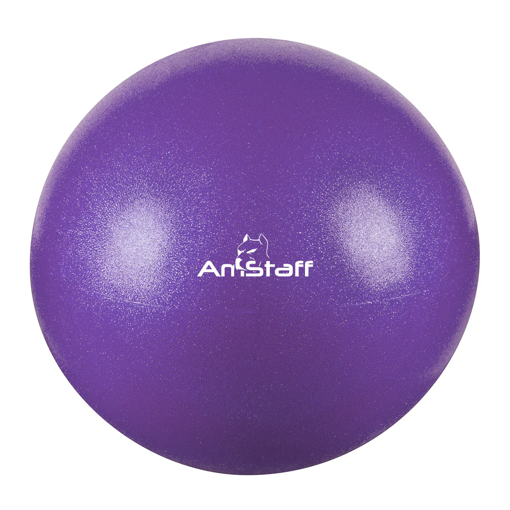 30cm Pilates Ball