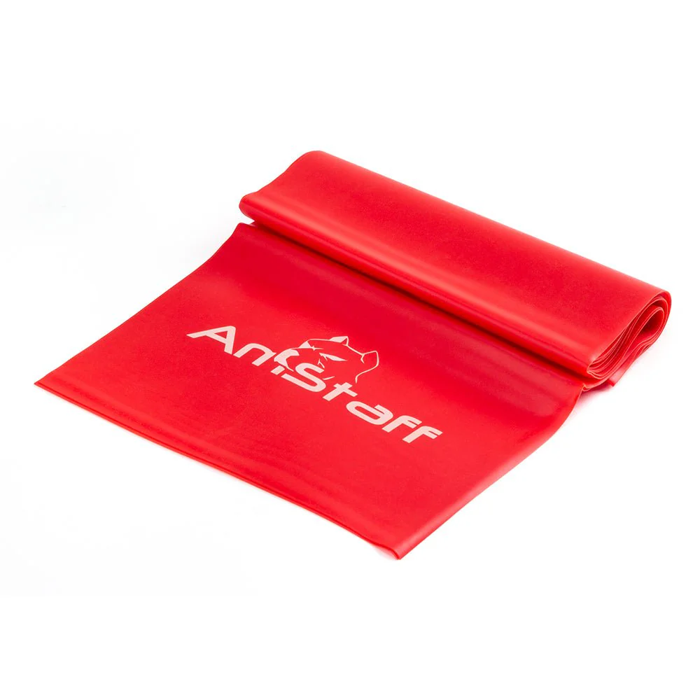 AmStaff Fitness 60" Resistance Bands - Image 5