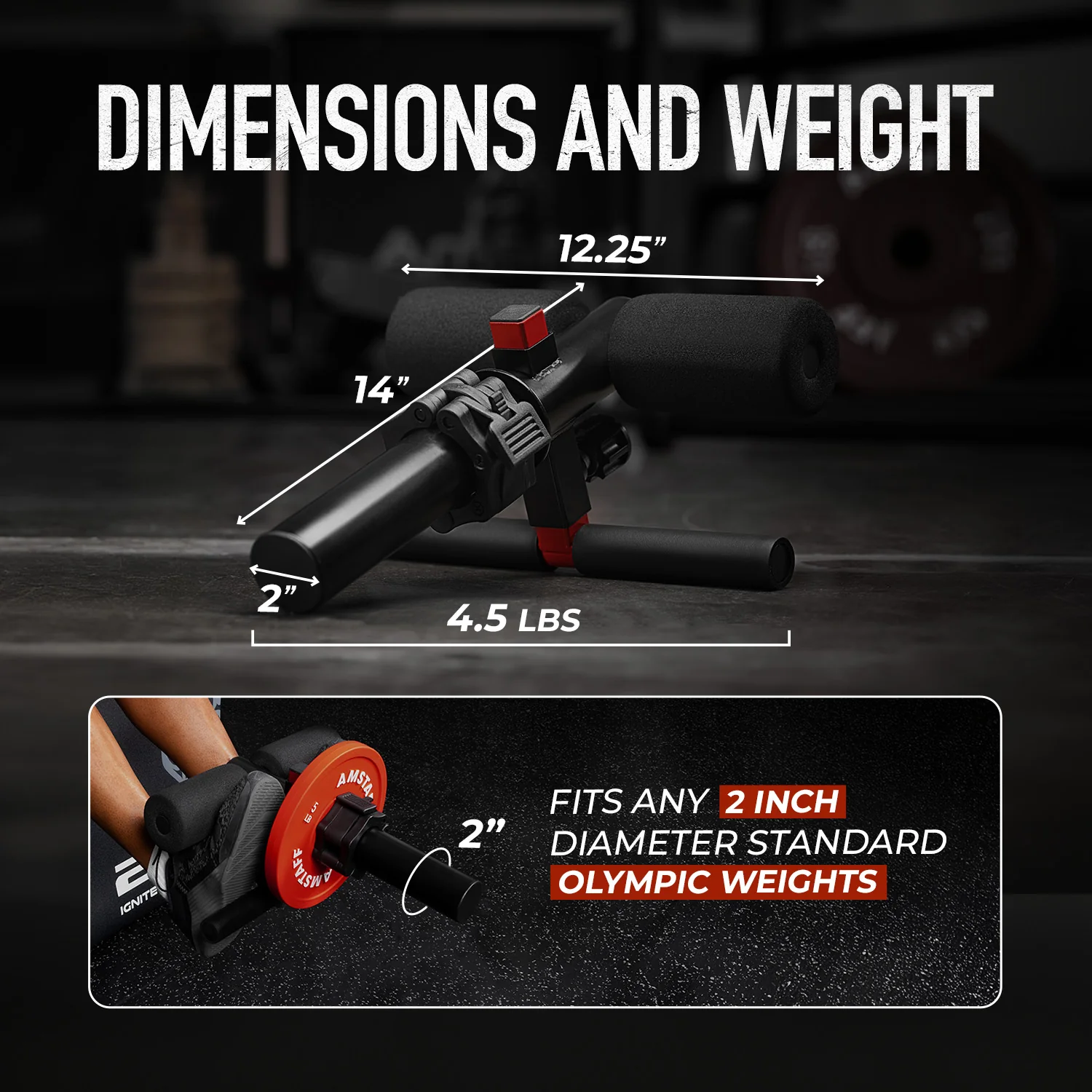 AmStaff Fitness Adjustable Tib Bar - Image 7