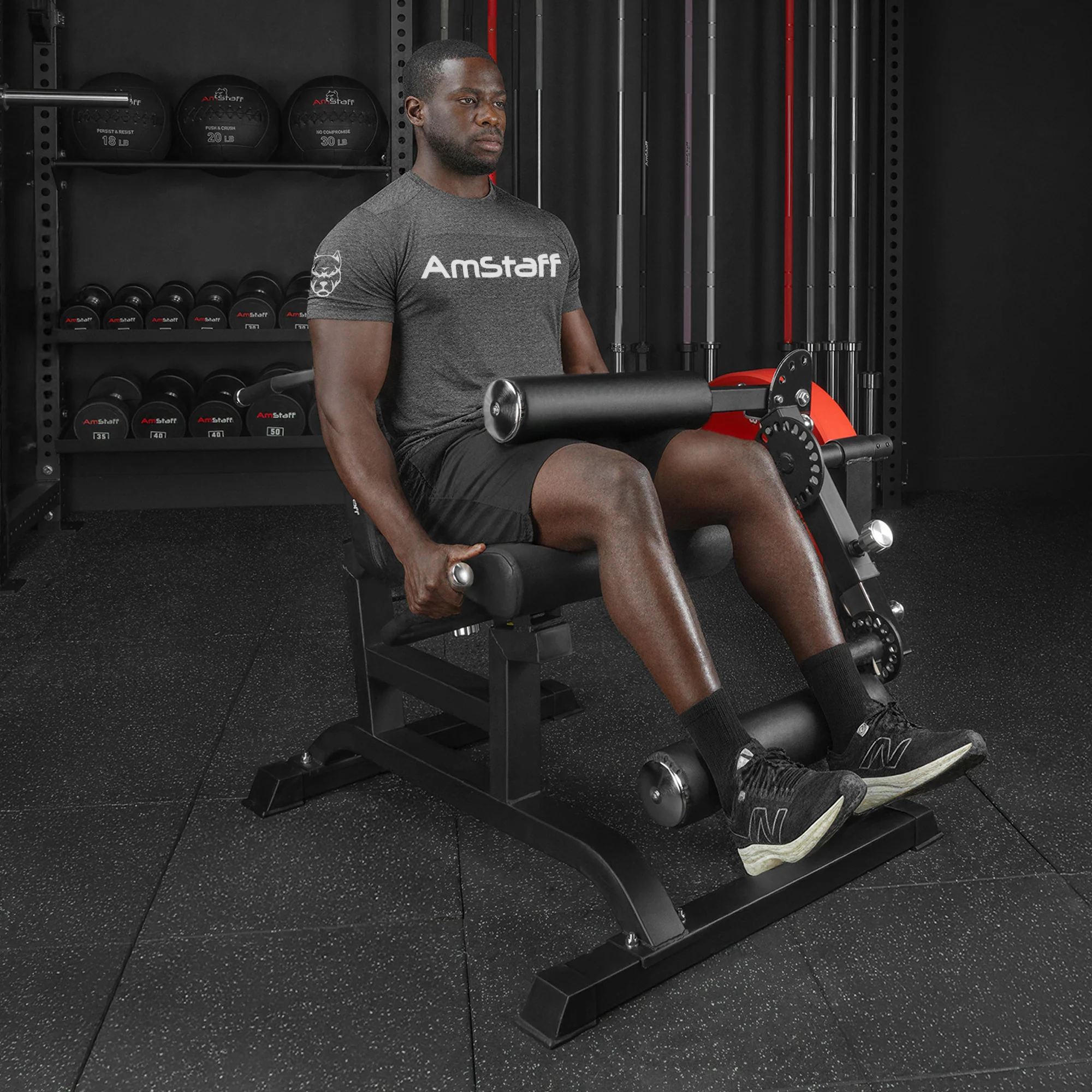 AmStaff Fitness LC100 Leg Extension / Curl Machine - Image 2