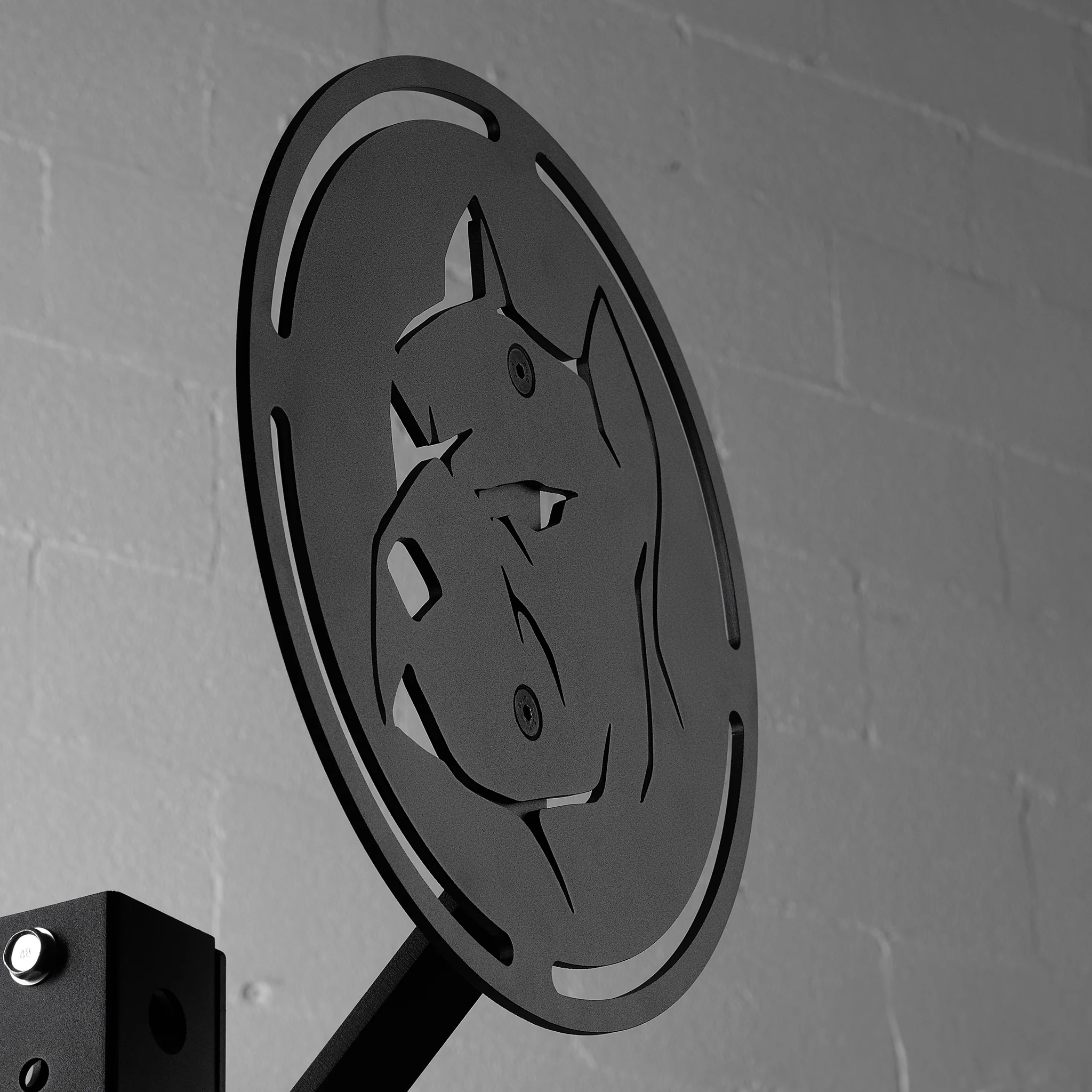 Wall Ball Target for Rig - RIG1011 - Image 3